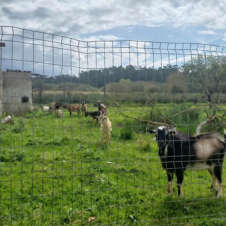 Casa Da Padaria * Caldas Da Rainha