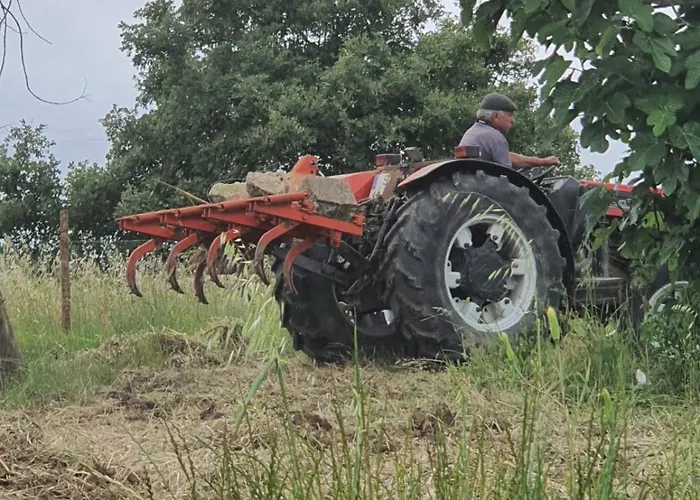 別荘 Casa Da Padaria *