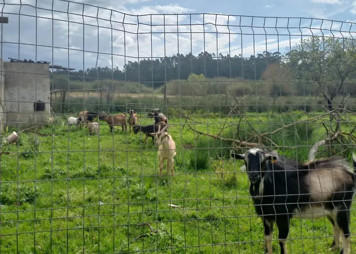 Casa Da Padaria * Caldas Da Rainha